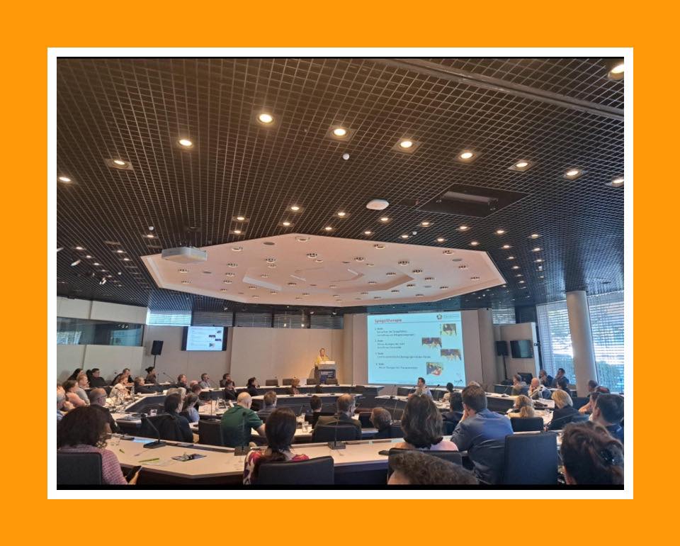 Handkongress
